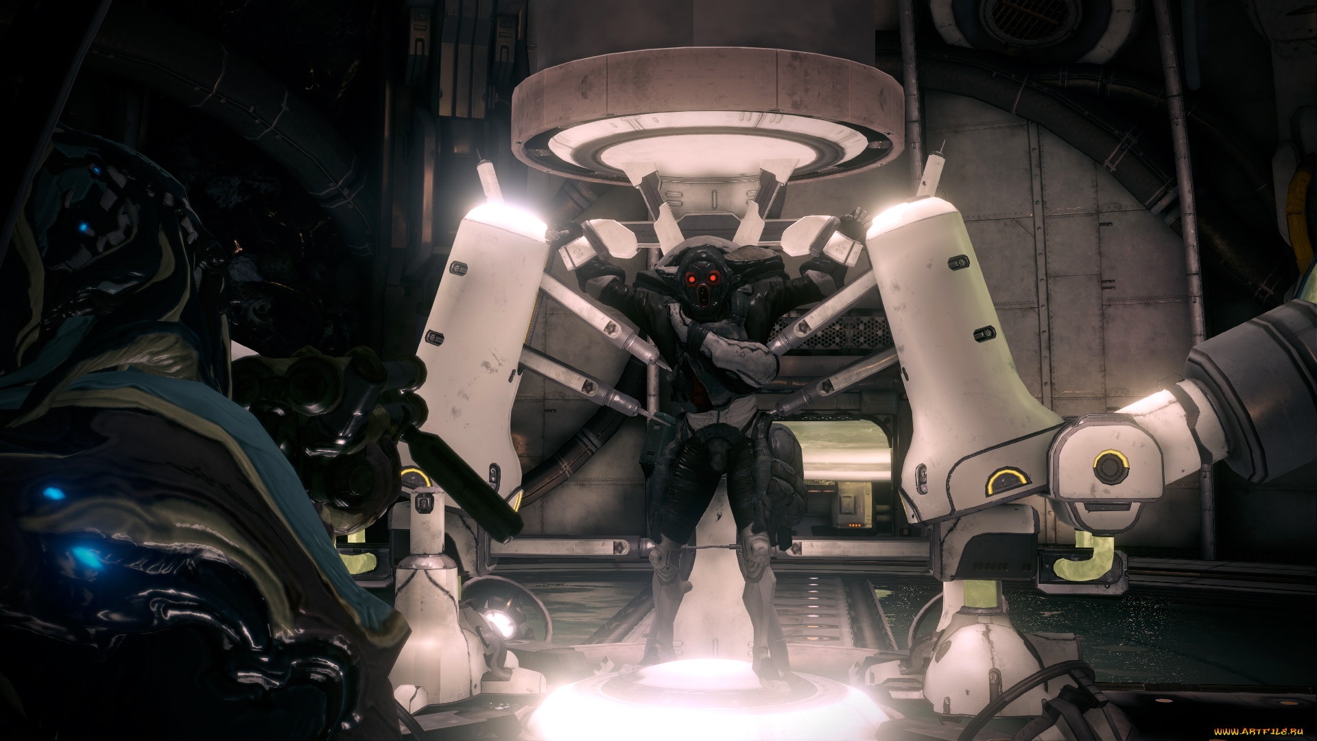  , warframe